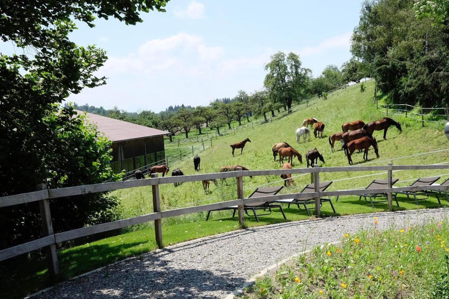 Trautesheim Ferienwohnungen Wangen im Allgäu Eksteriør billede